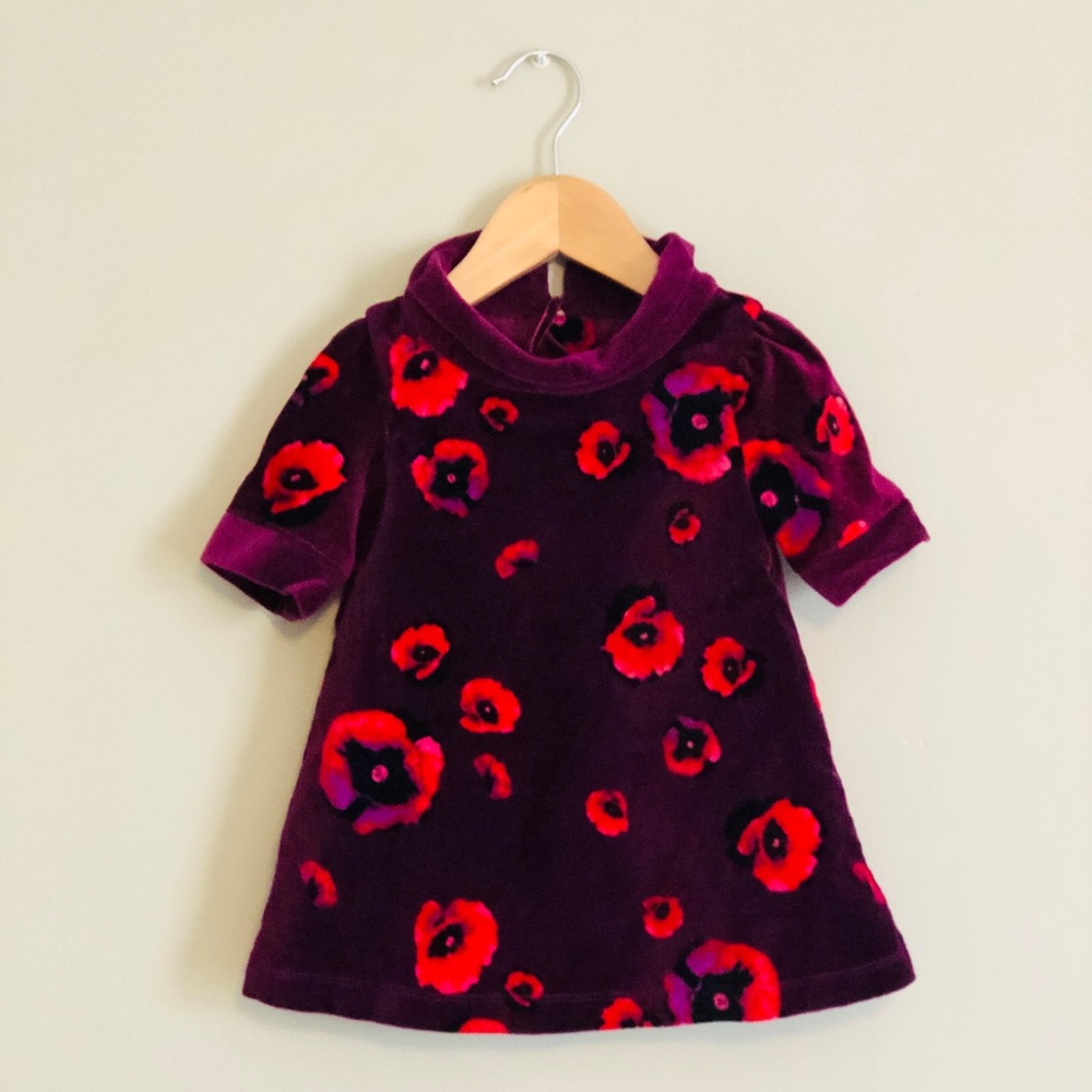 Tahari Baby vivid velvet dress SZ 18 months